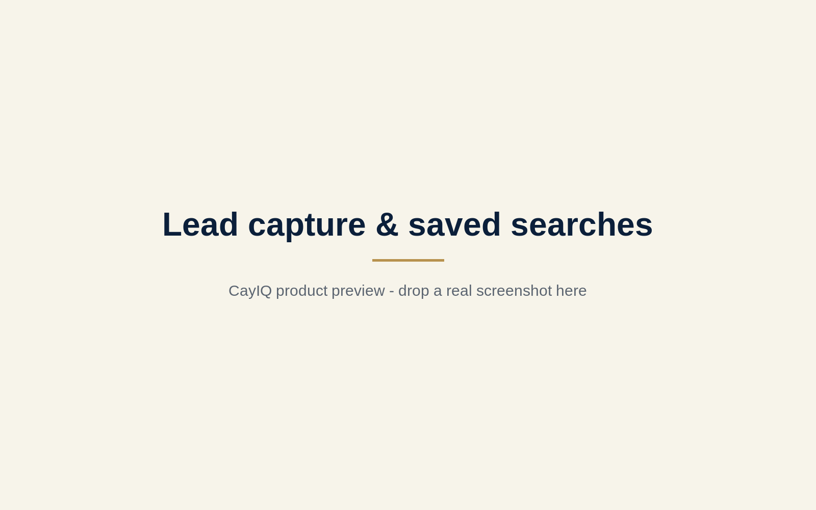 Lead capture & saved searches - CayIQ product screenshot